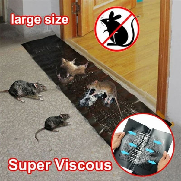 Large Powerful Rat Trap